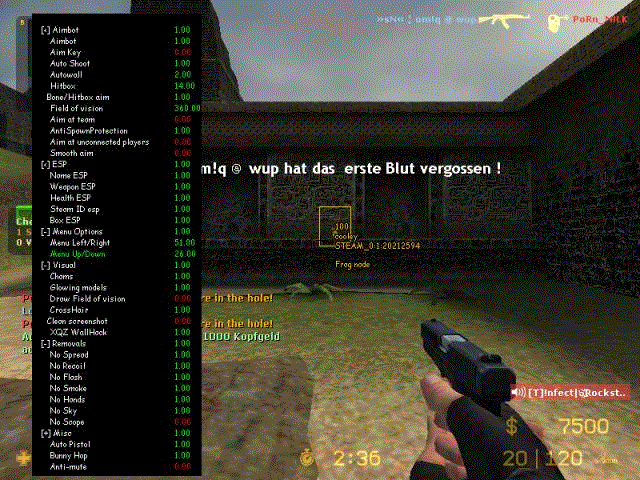 Delupe-Public-Aimbot-v4 для css